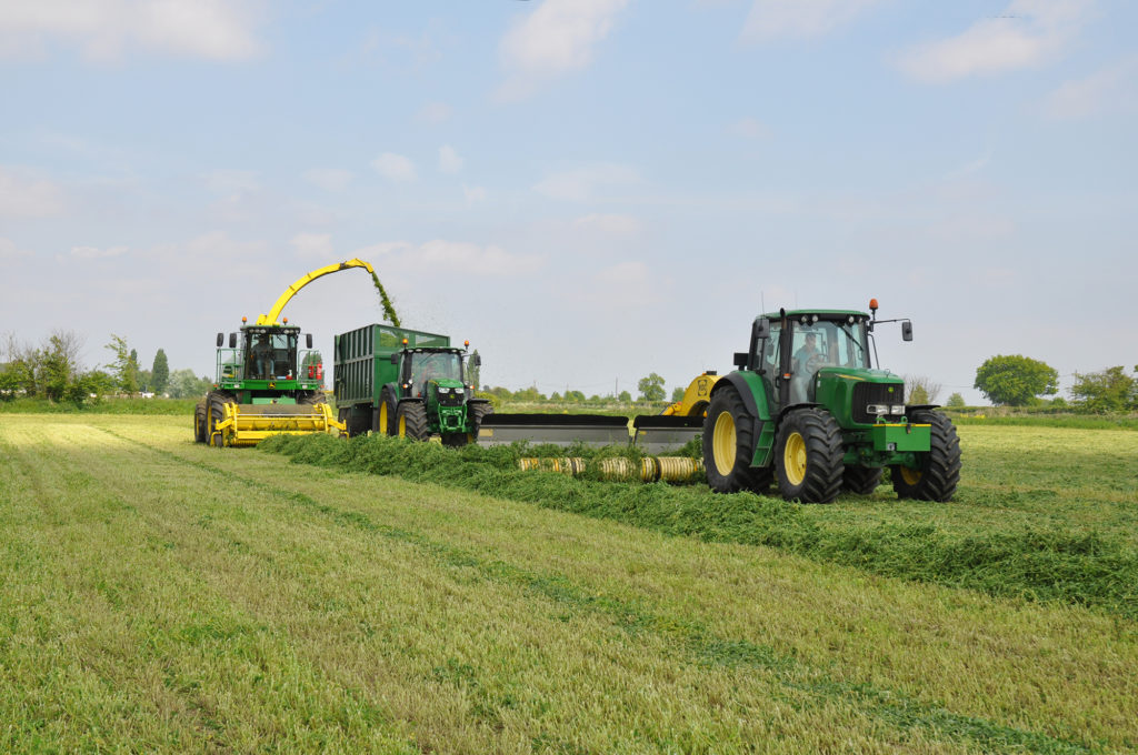 Alfalfa Harvest