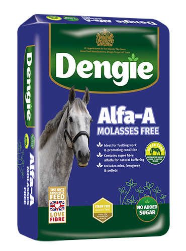 Dengie Hi-Fi Original Horse & Pony Feed Equines in Light Work Alfafa Blend 20kg 