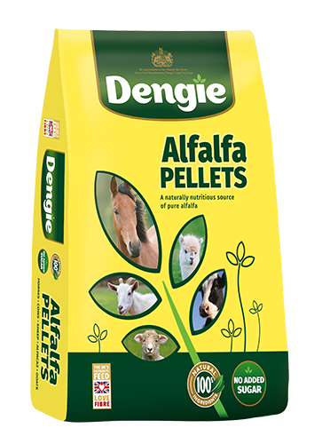 Alfalfa Pellets Fibre Feed