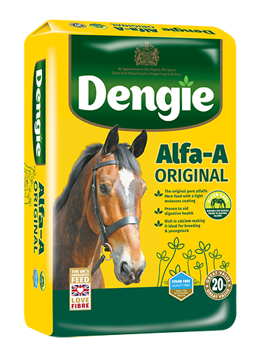 Dengie Hi-Fi Senior 20kg Horse Food Feed Fibres and Chaffs 