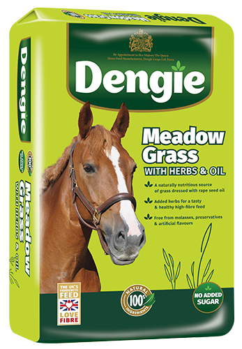 buy horse feed near me