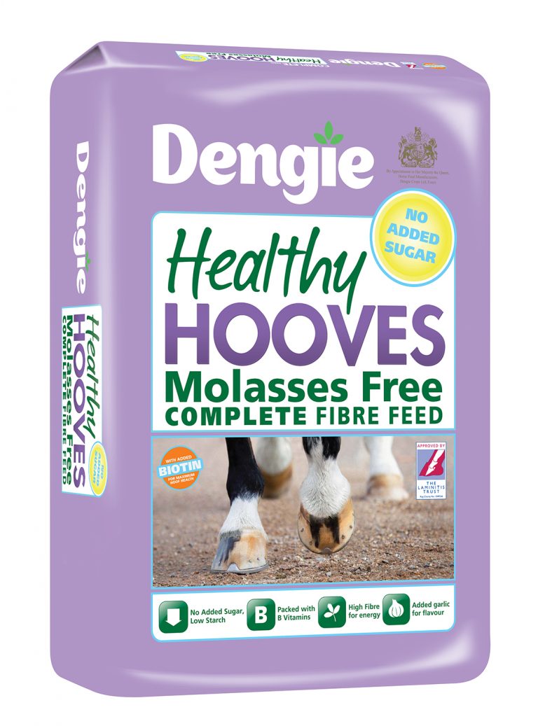 Choosing a molassesfree horse feed from Dengie Dengie Horse Feeds