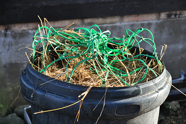 soaking hay