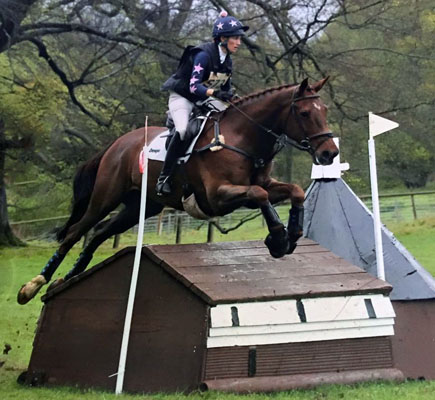 horse show jump competition