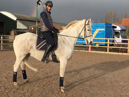 white dressage horse