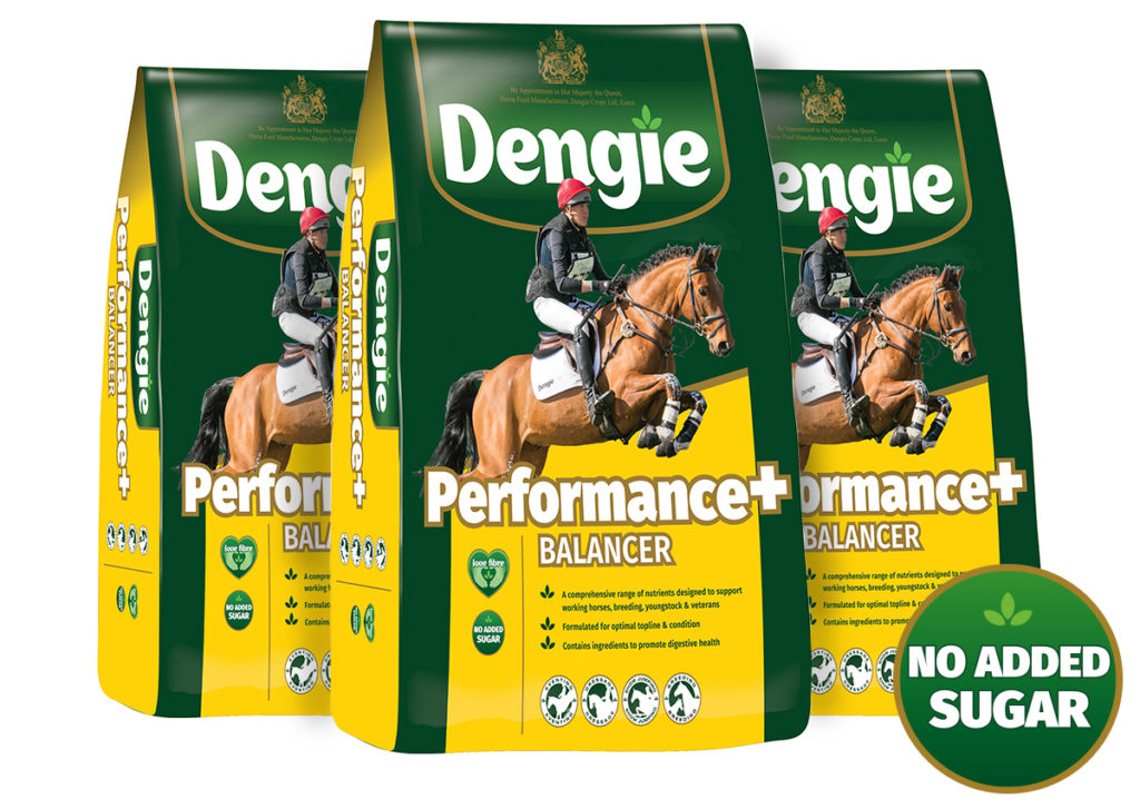 Introducing Dengie Performance+ Balancer