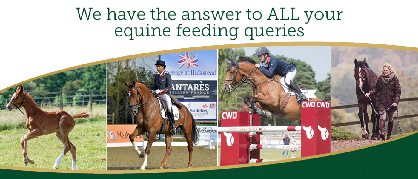 Feeding Advice & Queries Banner
