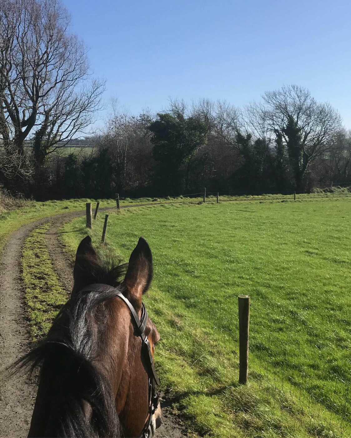 Googie On Trek In Ireland