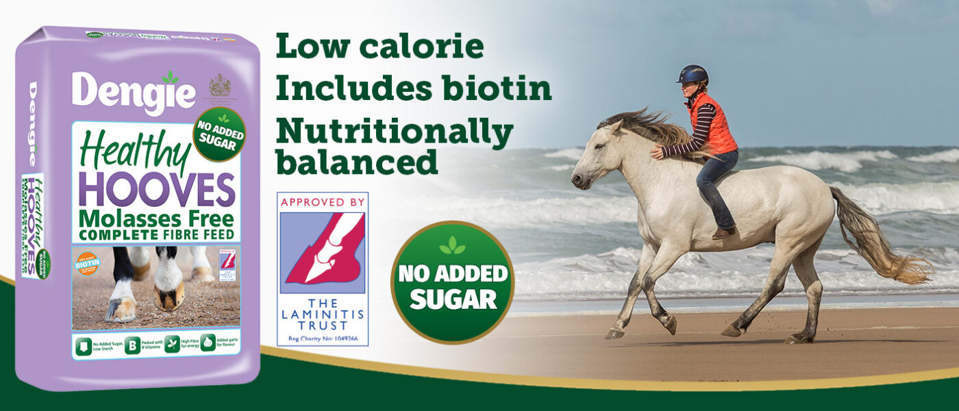 Horse Feed From Dengie, Order Premium Fibre Horse Food