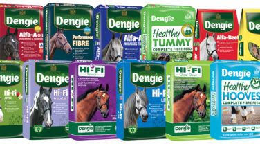 Dengie horse fibre feeds