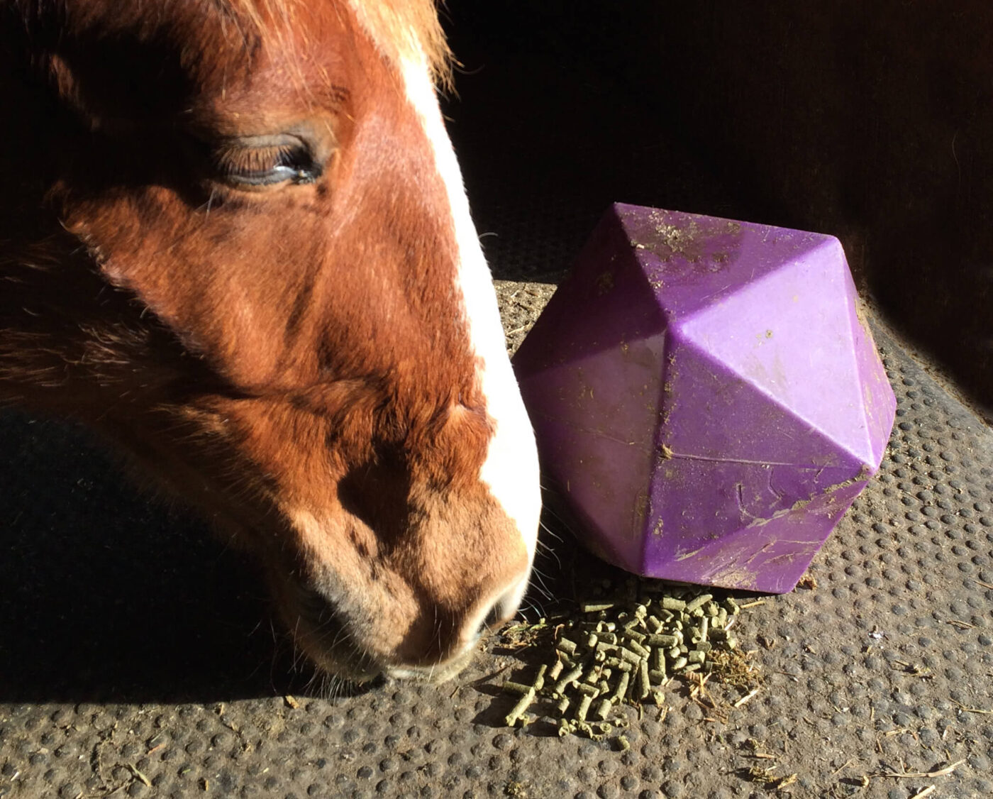 Stable Toy With Alfalfa Pellets