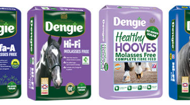 Laminitis Treating Products