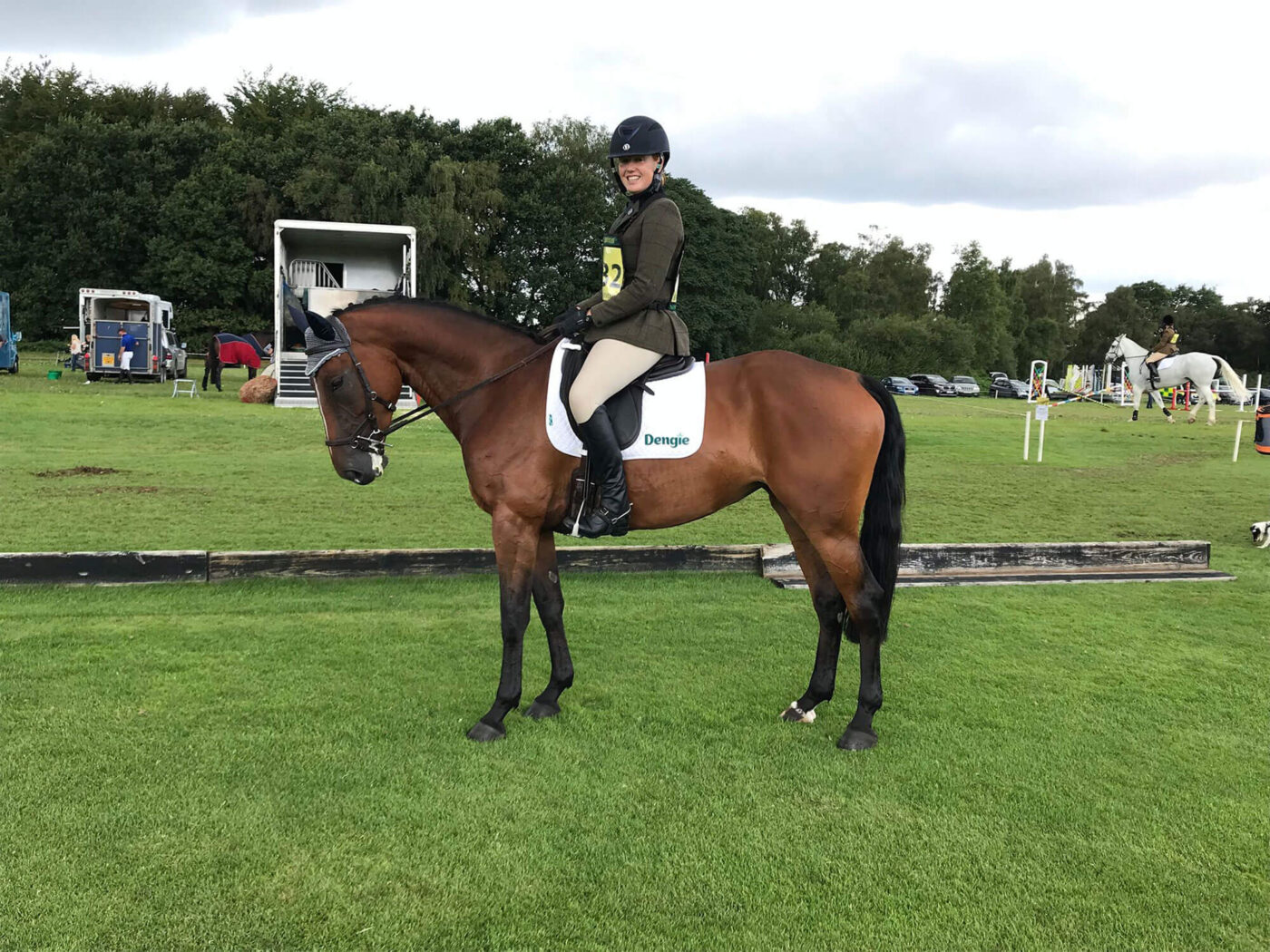 Horse at show