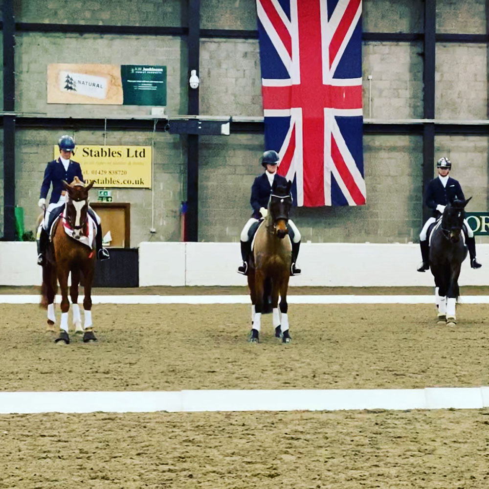 Horses lining up at BD Regionals