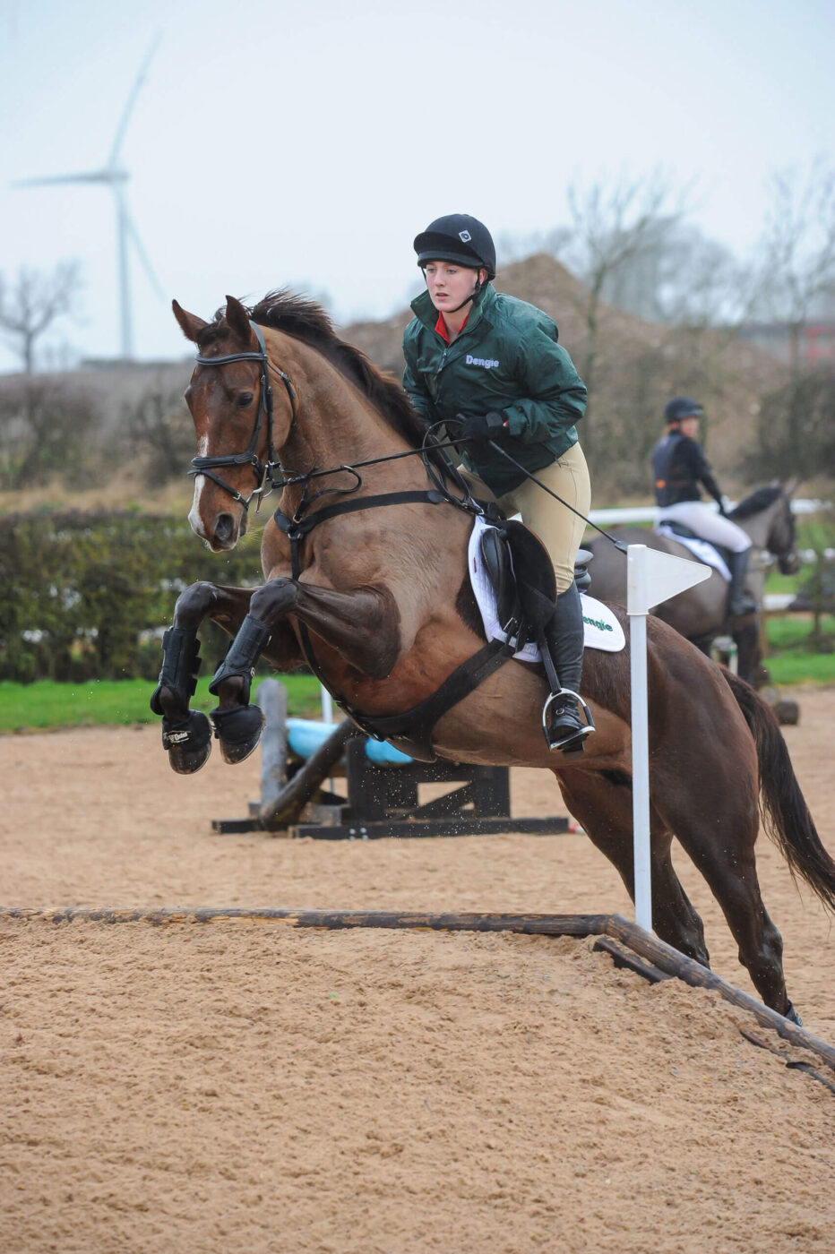 Horse jumping at show