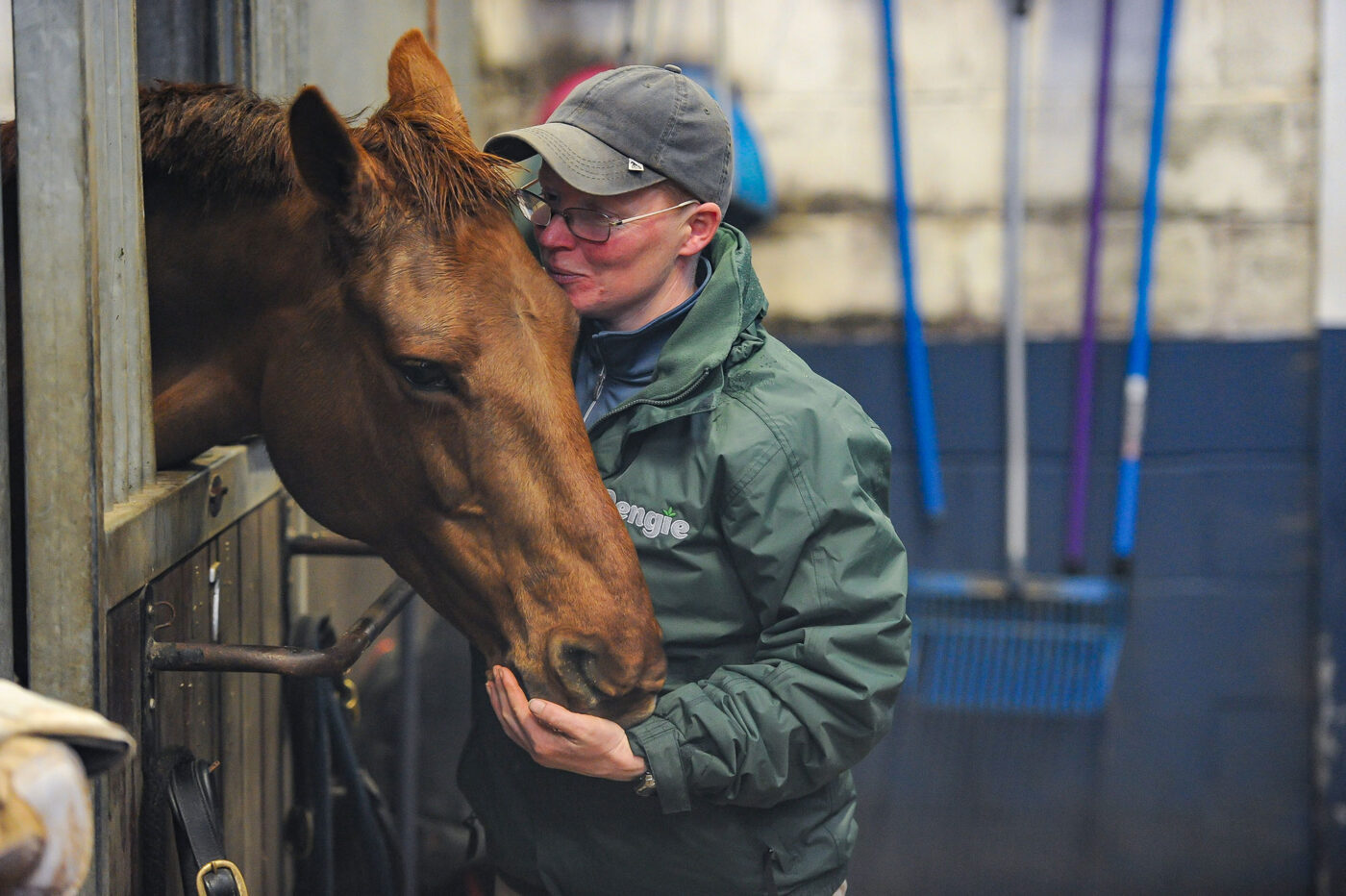 Horse caring 