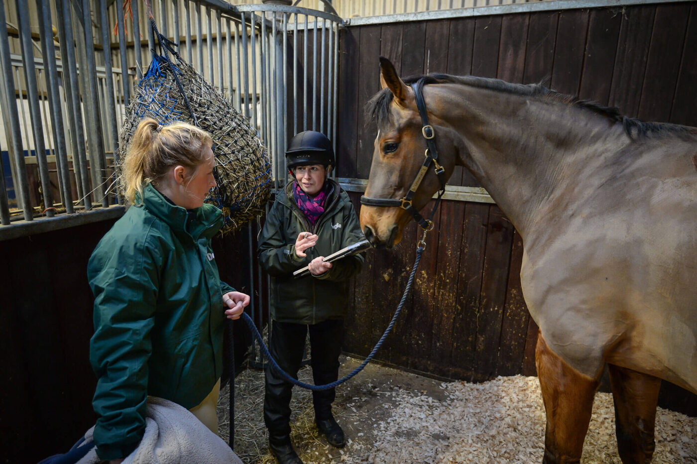 horse nutritionist giving advice to horse owner