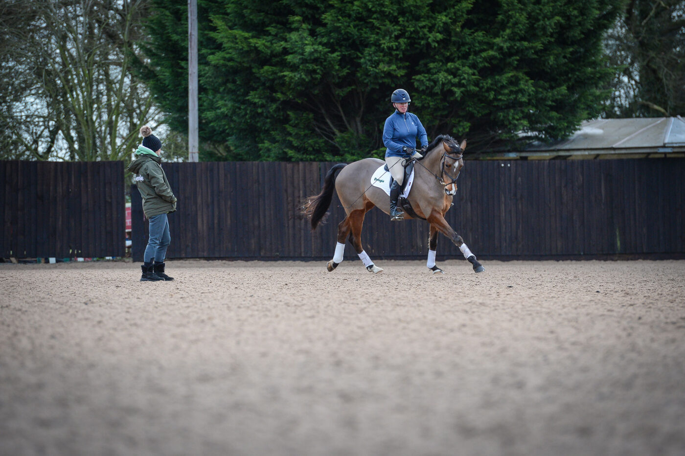 Horse training