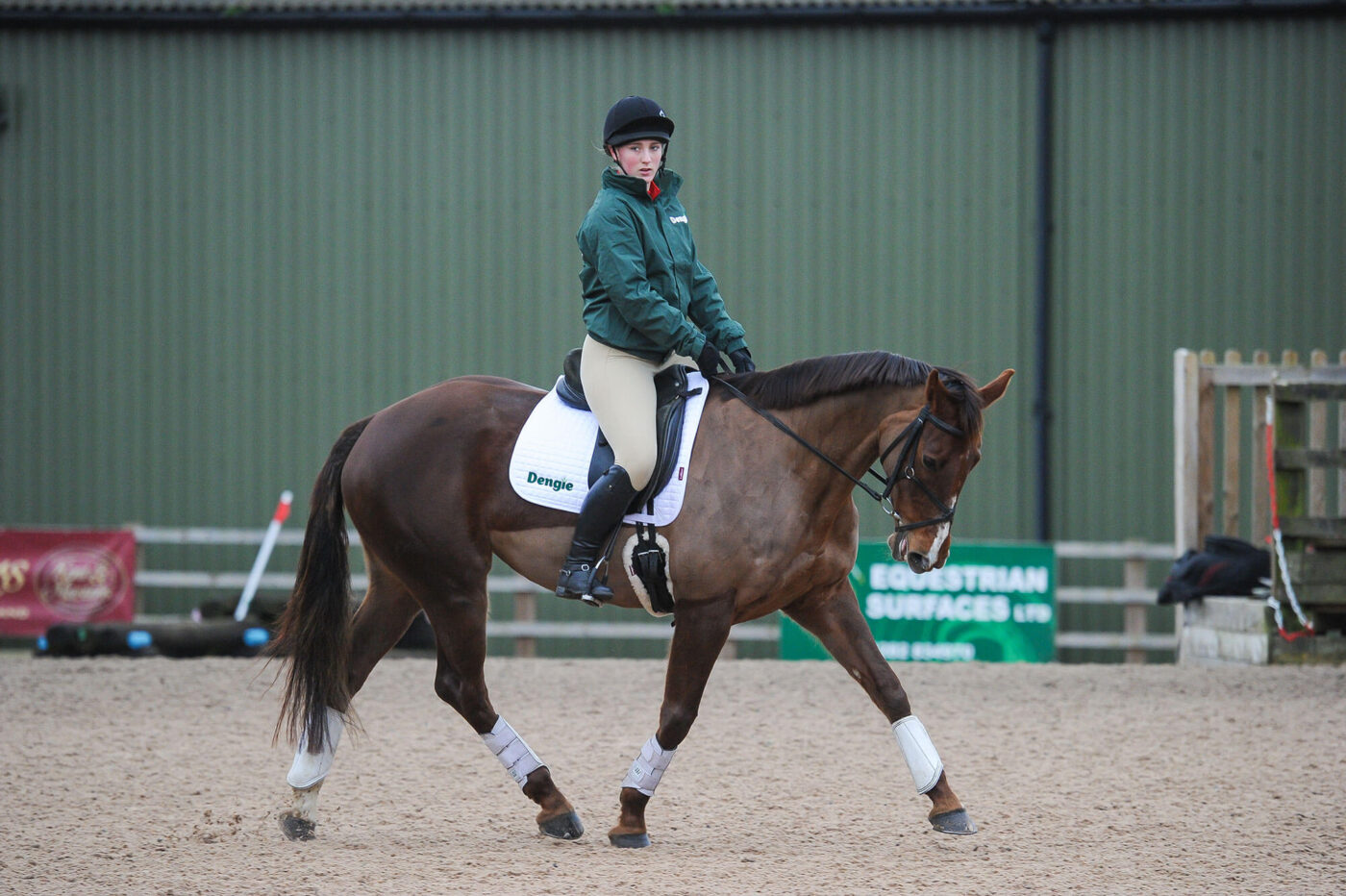 Girl on horse at show