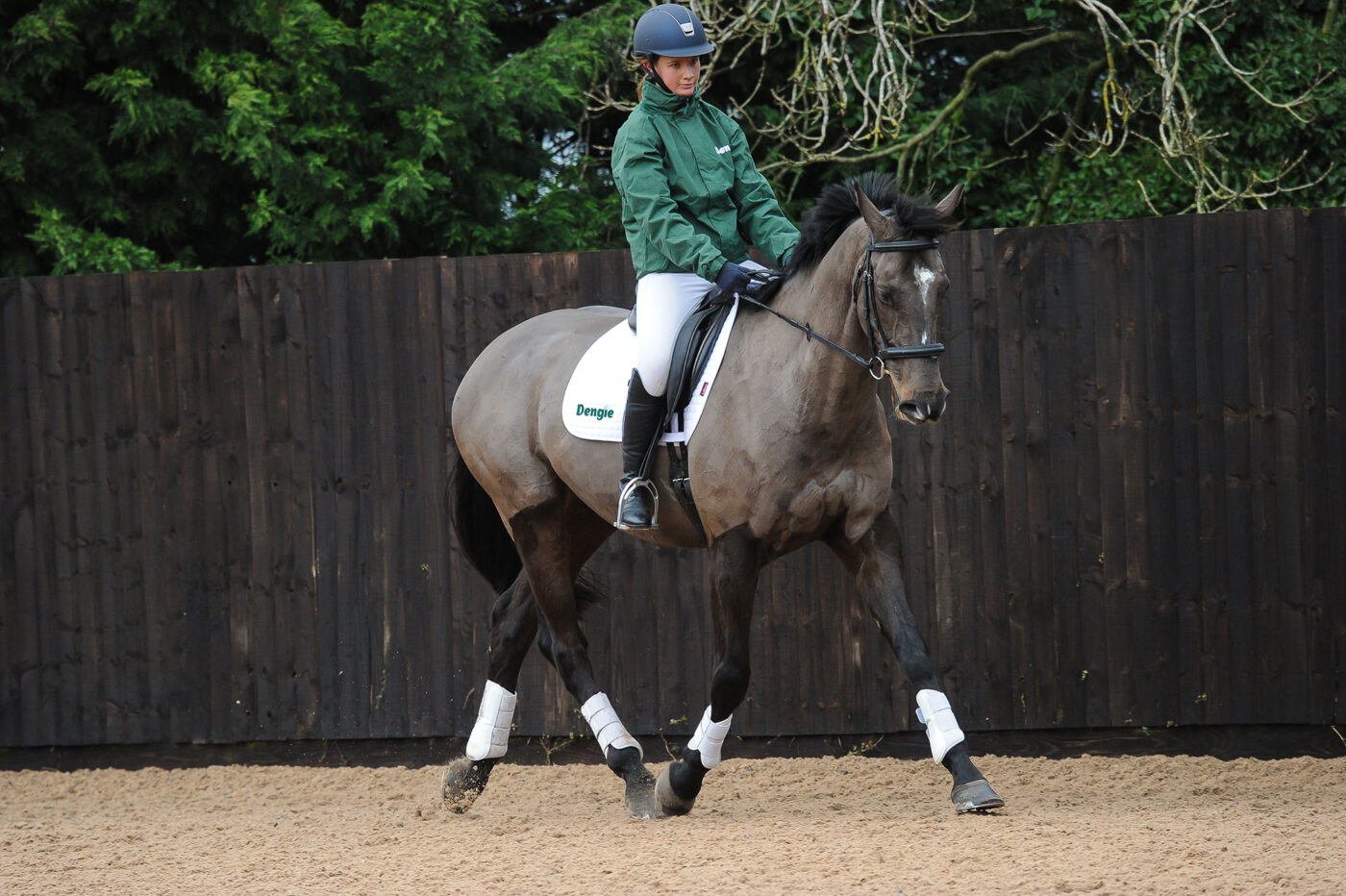 horse dressage