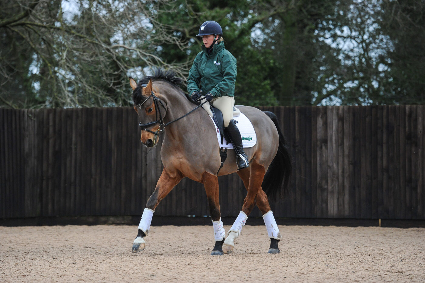 horse dressage