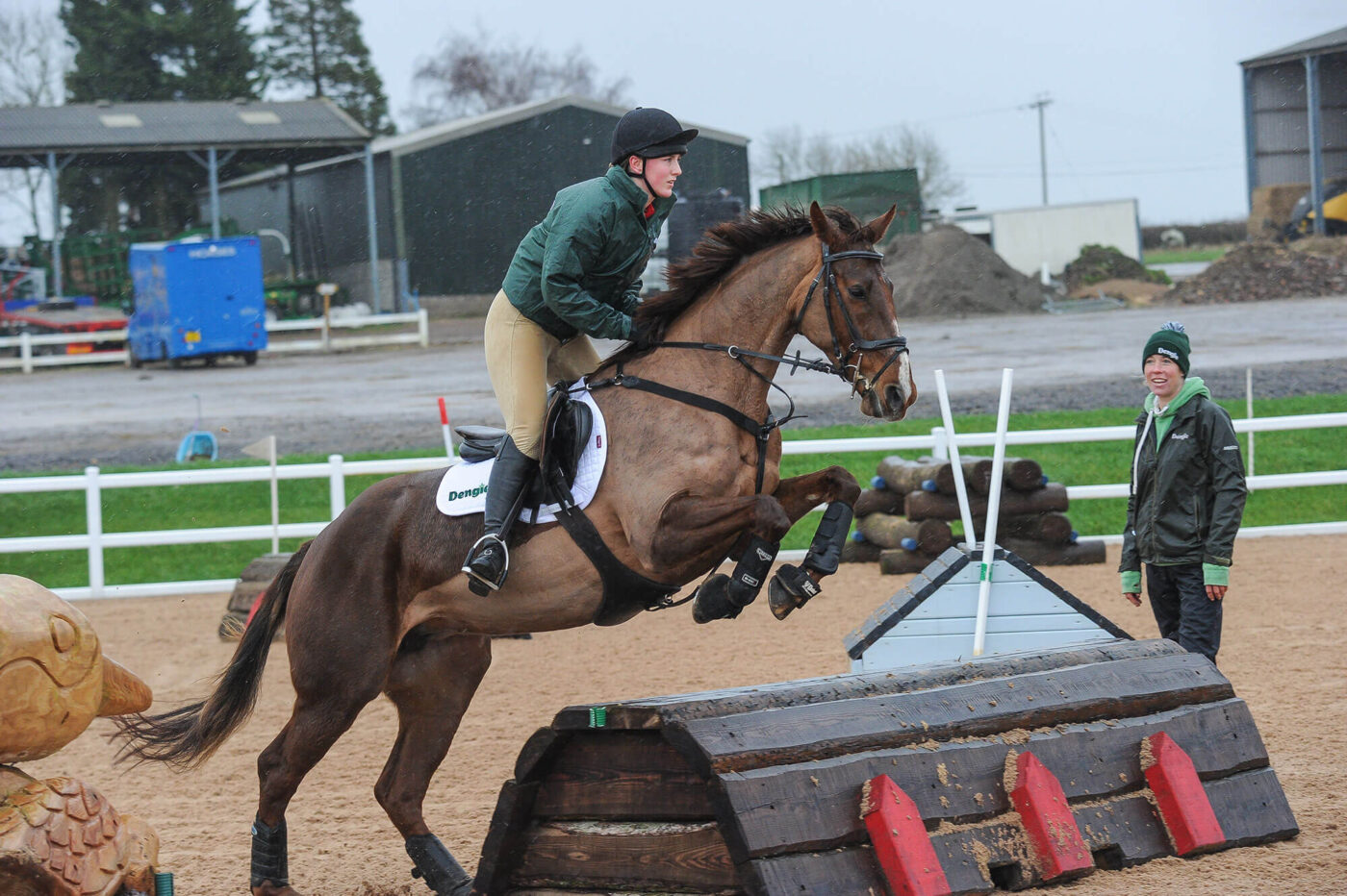 Horse Jumping at show