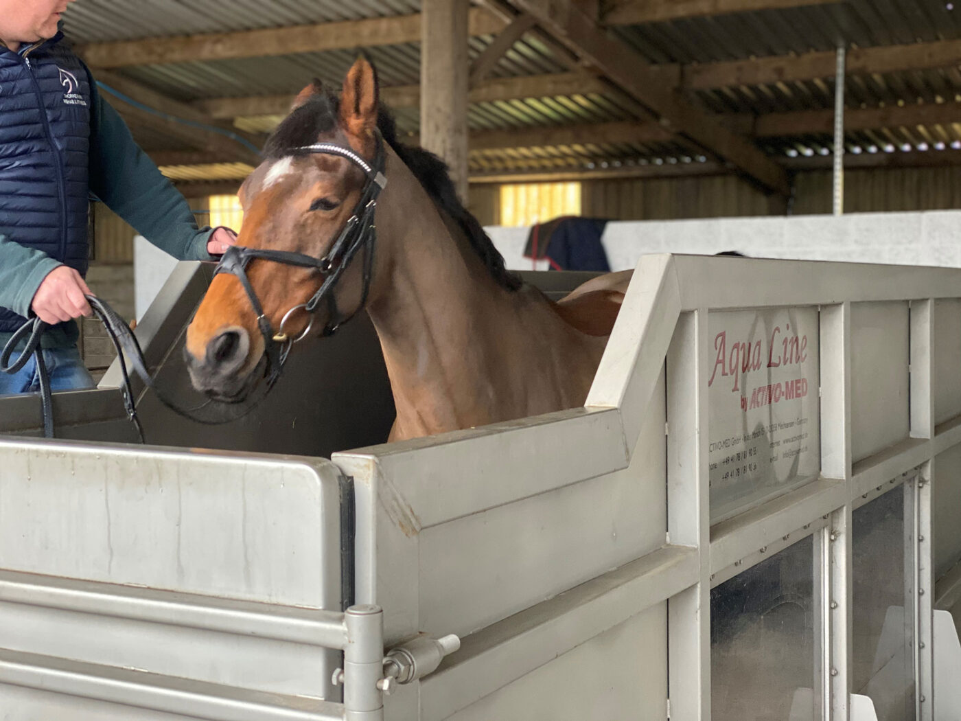 horse on water treadmill