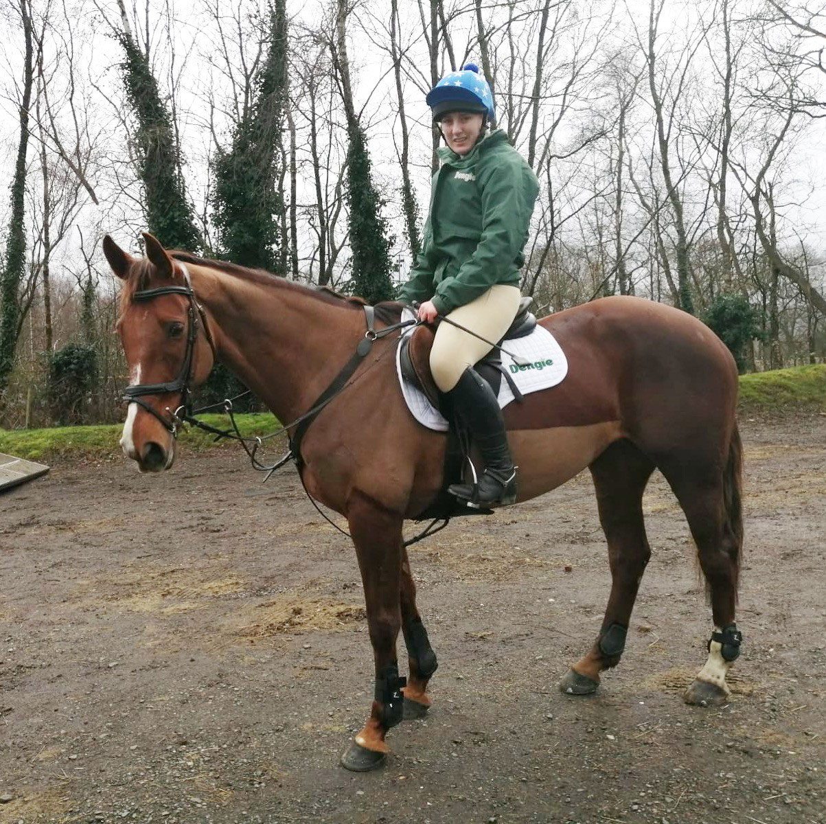 rider mounted on horse