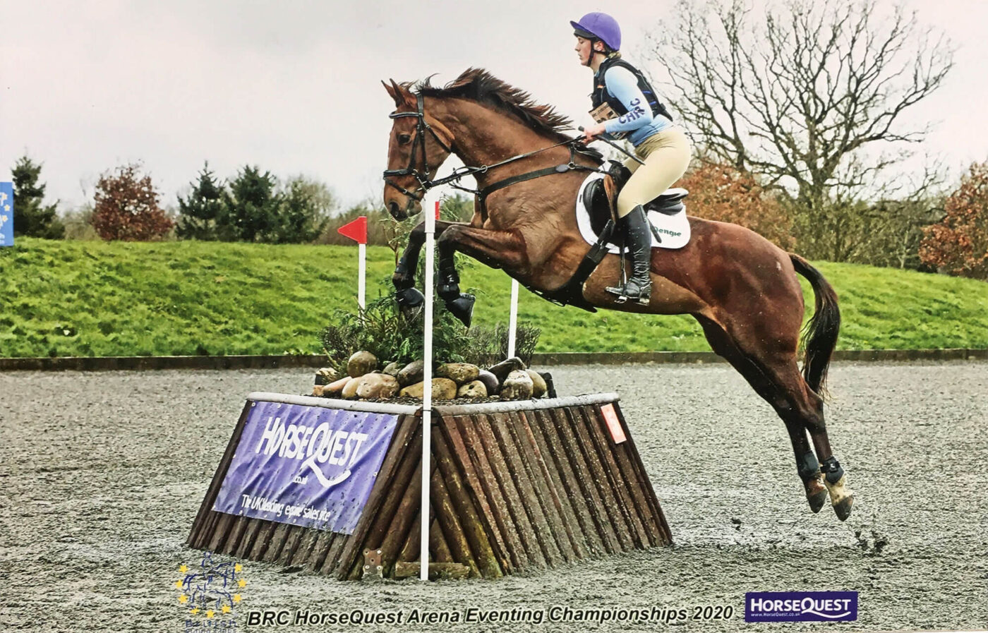 Horse Jumping at show