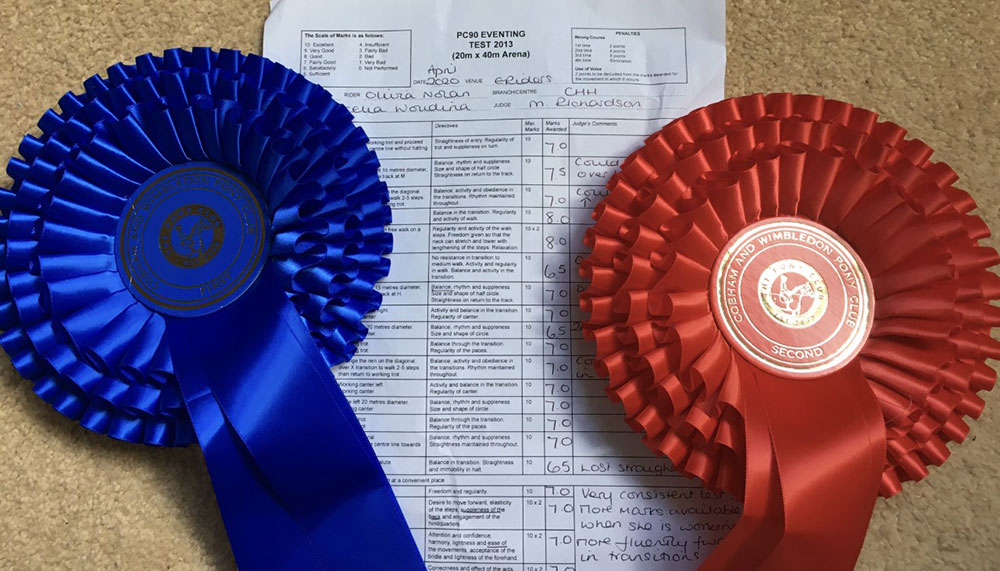 competition rosettes
