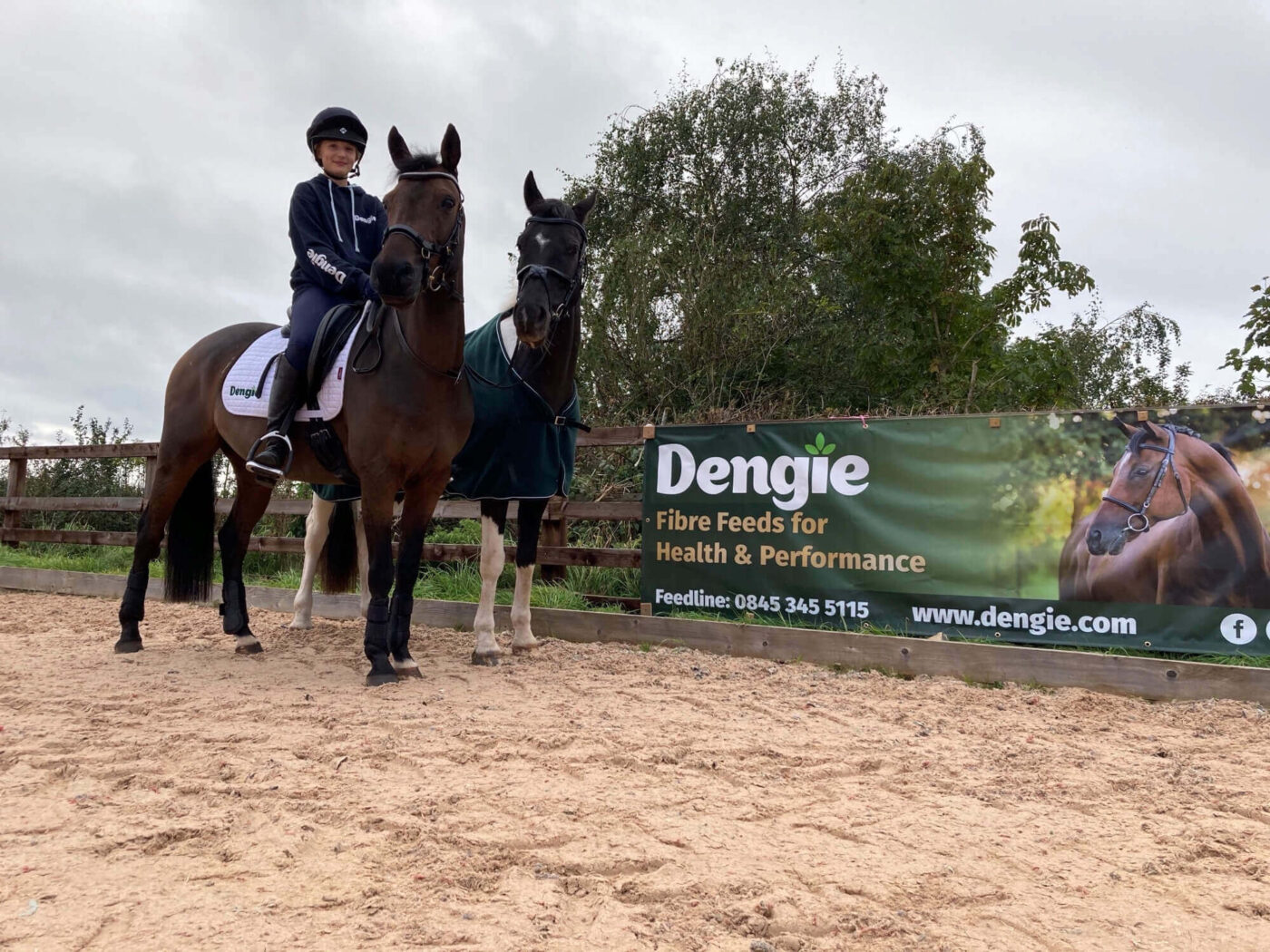 Horses next to Dengie banner