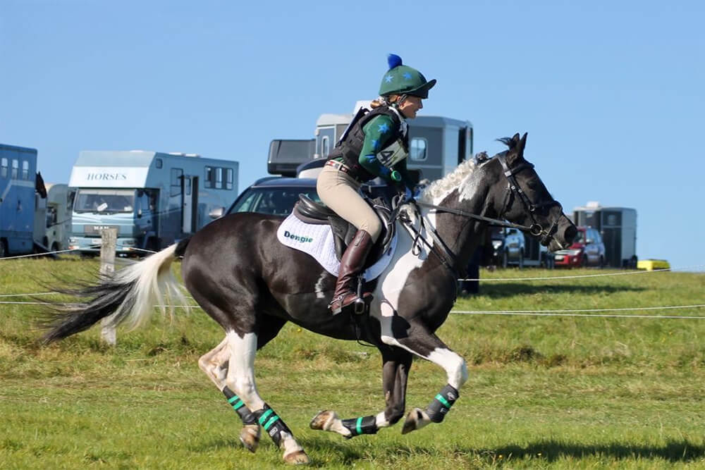 Horse running at show