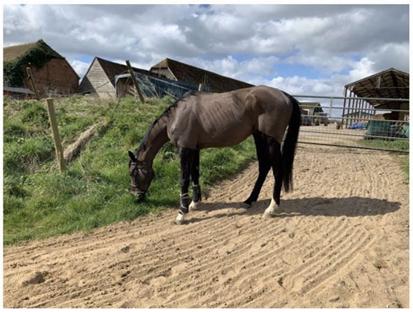 Colin April 2020