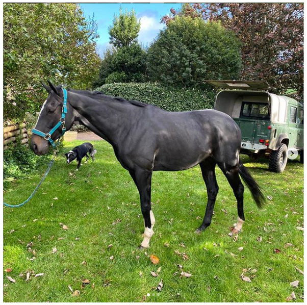 Colin Oct 2020