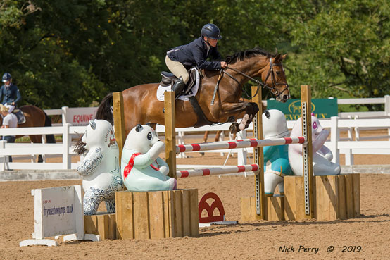 horse showjumping