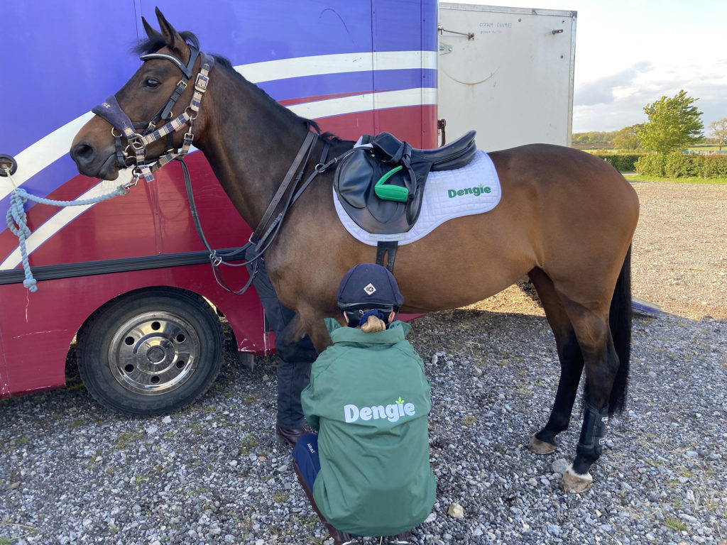 horse and rider preparing for competition