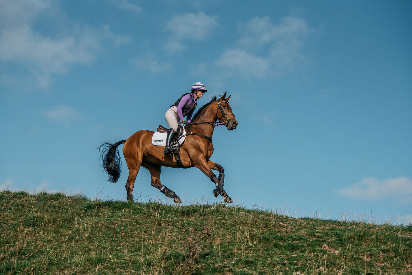 horse and rider cantering
