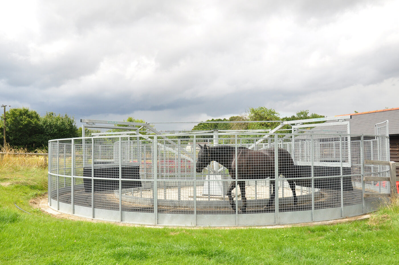 How To Exercise Your Horse Without Riding