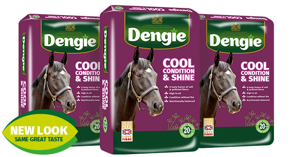 Cool, Condition & Shine Horse Feed