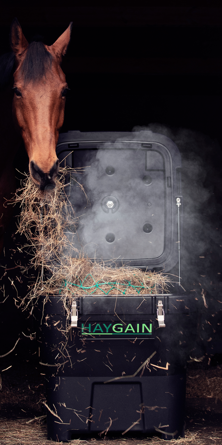 Soaking Hay For Laminitic Horses Dengie Crops