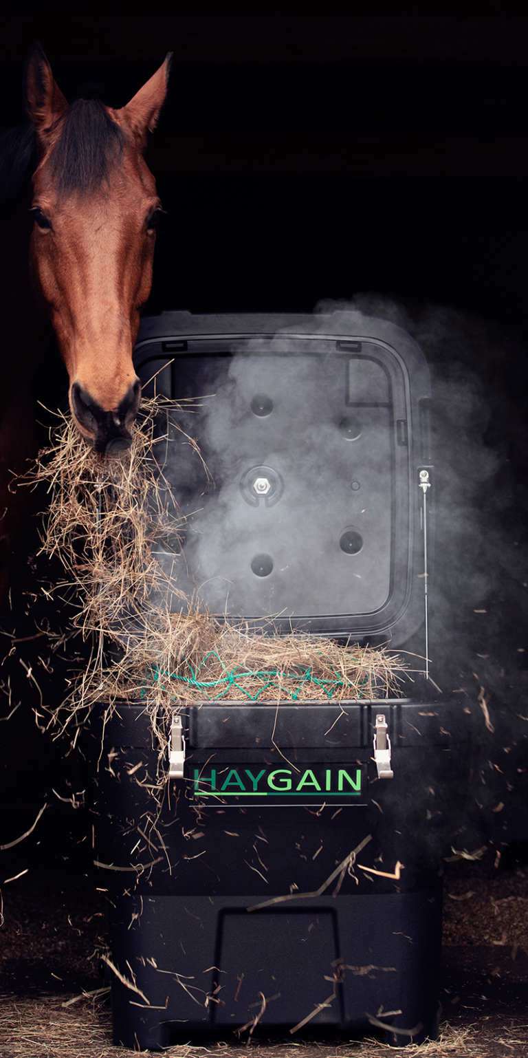 Soaking Hay For Laminitic Horses Dengie Crops