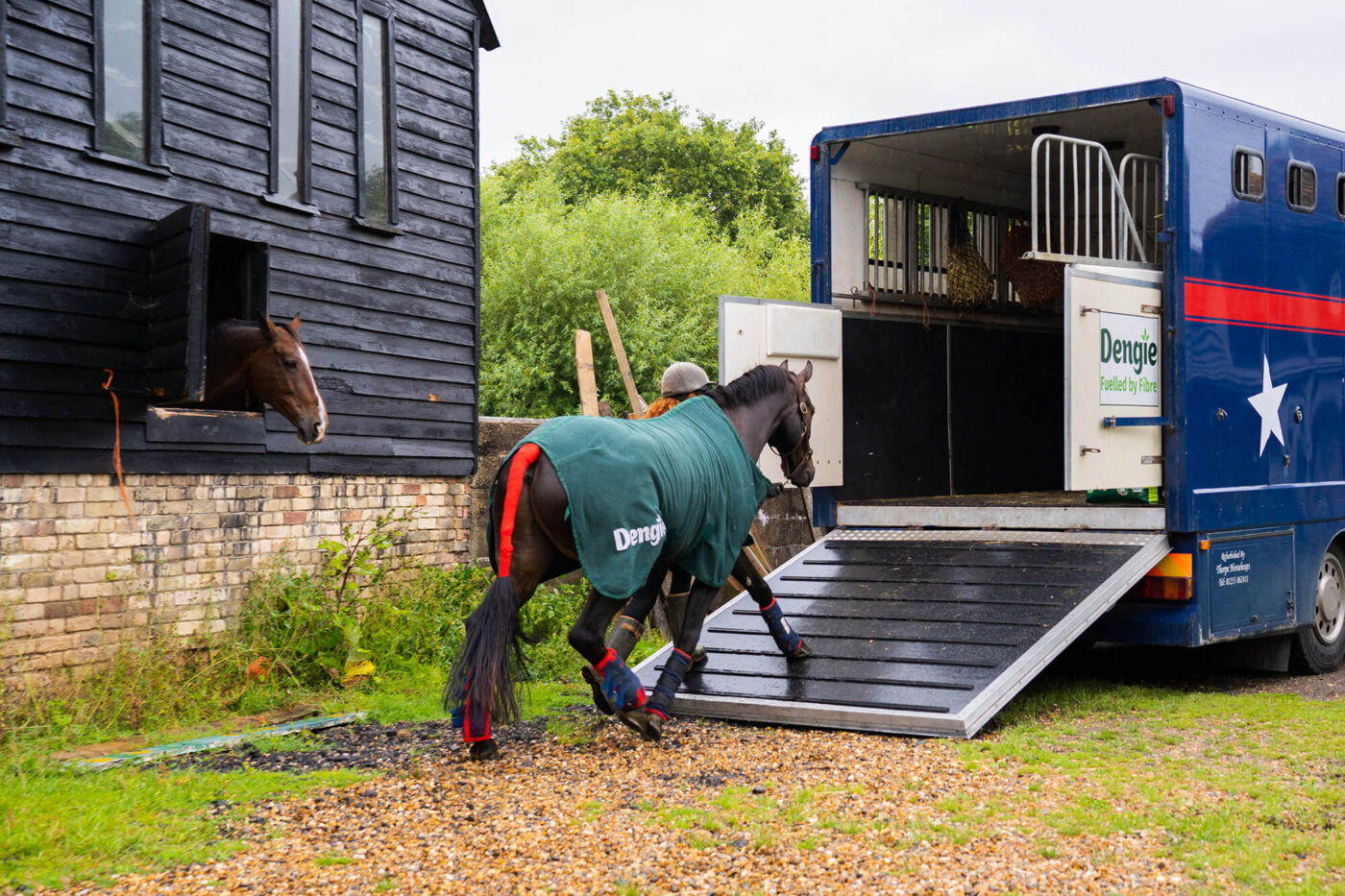 horse being loaded into horsebox