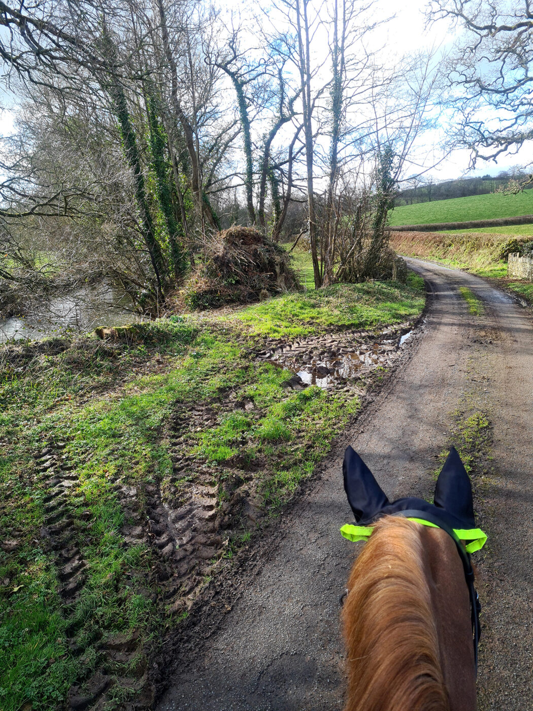 Hacking in country lanes