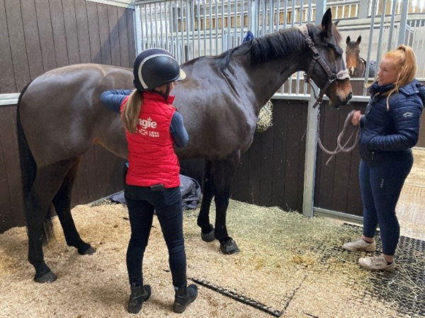 Claire assessing horse